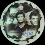 Stay On These Roads UK 12" Picture Disc