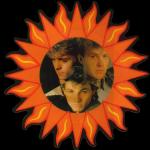 The Sun Always Shines On TV - Picture Disc