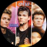 You Are The One 12" Picture Disc