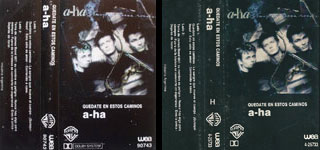Stay On These Roads Argentina cassette
