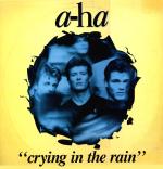 Crying In The Rain Brazilian Promo 12"