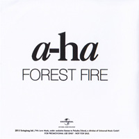 Forest Fire - inside of insert