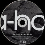 Foot Of The Mountain disc