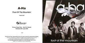 Foot Of The Mountain (UK promo sleeve)