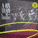 Train Of Thought Germany 12" with poster