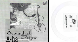 Scoundrel Days Polish Flexi - Cover + Record